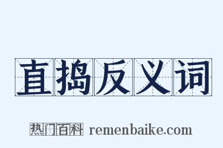 直捣反义词是什么意思的图片